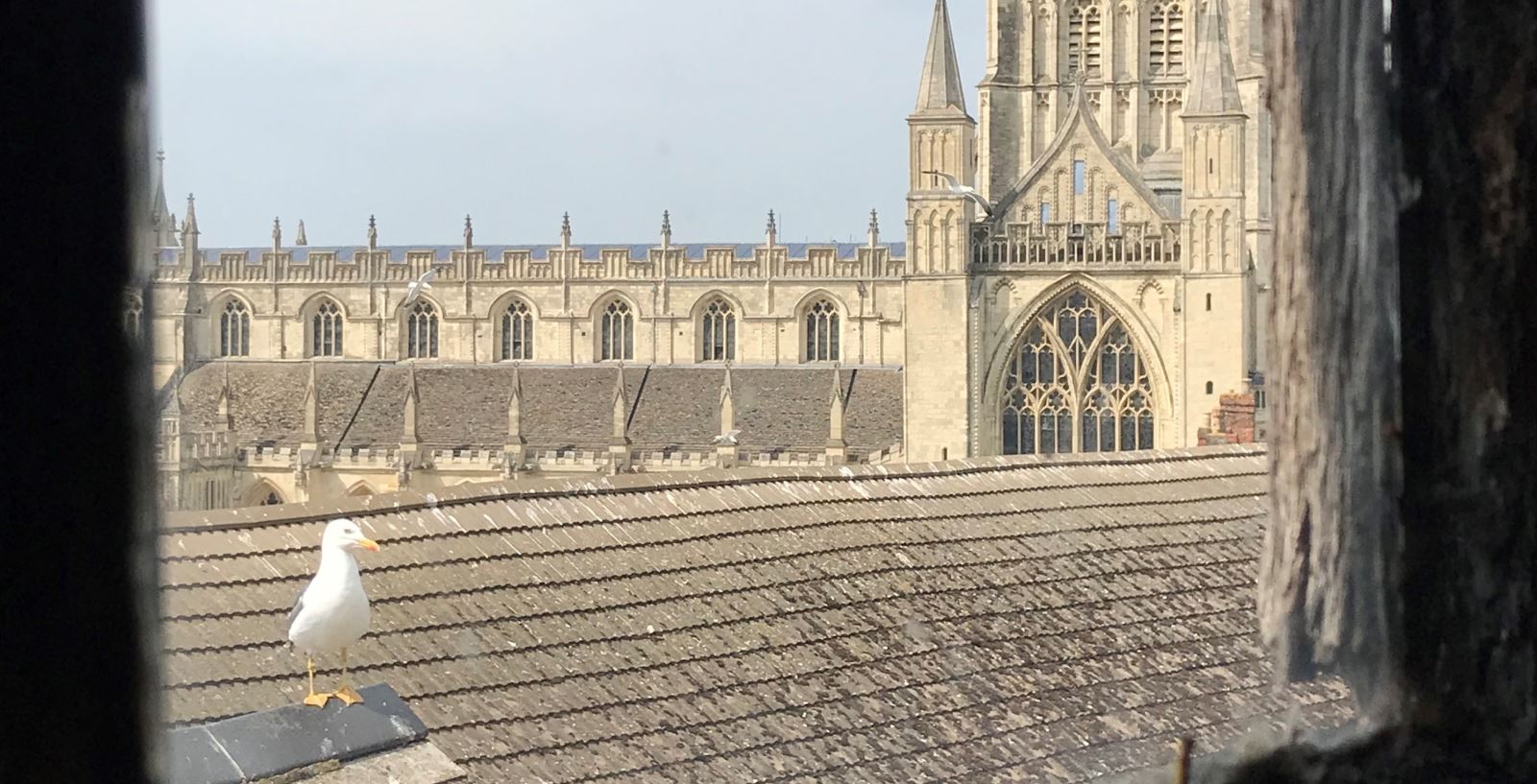 View of Cathedral from attic in Westgate Street